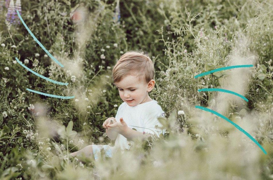 Mustela México - Elaborados con Cera de Abeja, nuestros productos